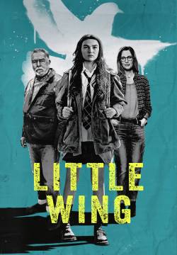 Little Wing - Il senso di casa